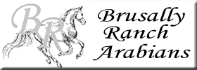 Brusally Horse History